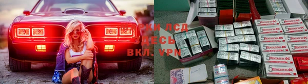 мяу мяу мука Алексеевка
