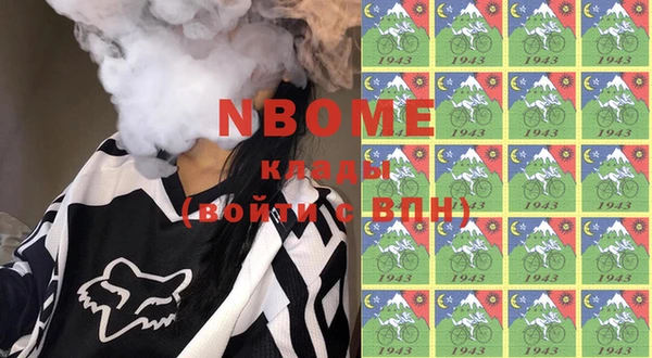 хмурый Алзамай