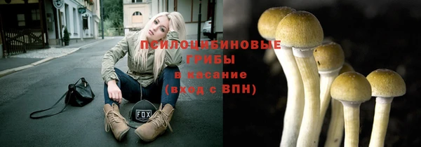 мяу мяу мука Алексеевка