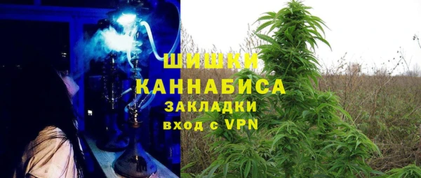 хмурый Алзамай