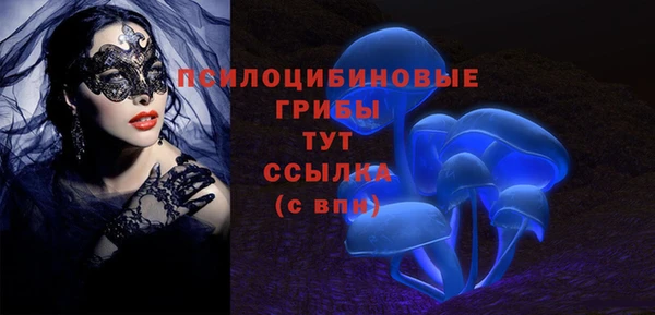 мяу мяу мука Алексеевка