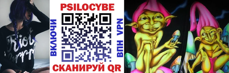 Галлюциногенные грибы Psilocybe  Краснообск 
